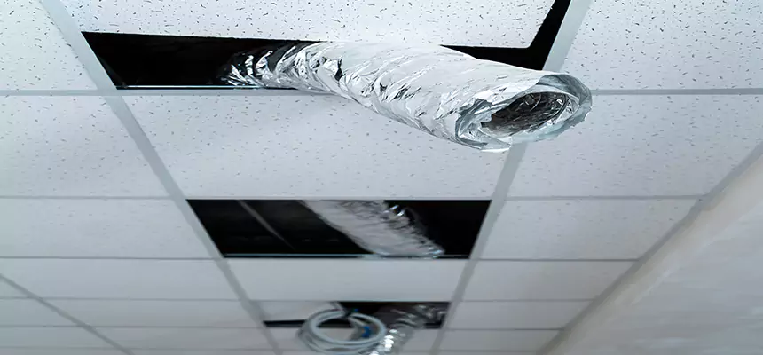 Our Air Duct Pet Hair Removal Services in Oxford, OH