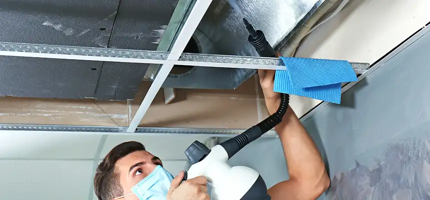 Our Air Duct Rodent Removal Services in Oxford, OH