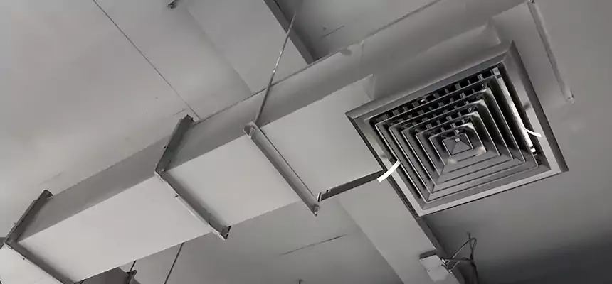 Our Rodent Droppings In Vents Services in Oxford, OH