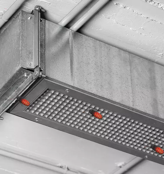 About Air Duct Cockroach Removal in Oxford, OH