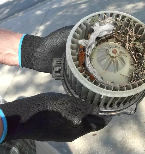 About Air Duct Rat Removal in Oxford, OH