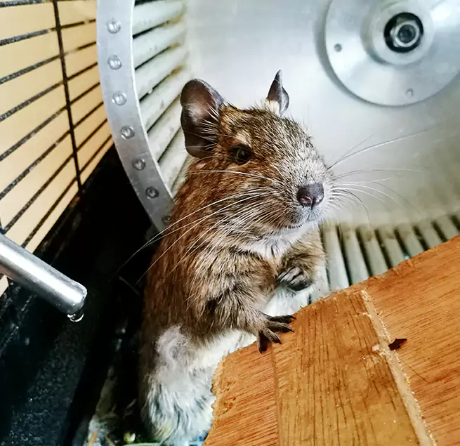 Why Homeowners & Businesses Trust Us Oxford, OH